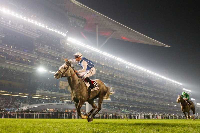 فستیوال اسب دوانی دبی Dubai Horse Racing Festival 